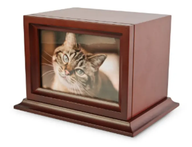 Serenity Urn by Animal Memorial Service