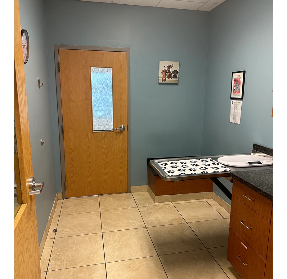 Exam Room at Winding Creek Animal Hospital
