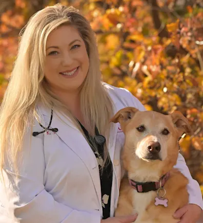 puppy pencil in place of Dr. Teerhuis puppy pencil in place of Dr. Teerhuis