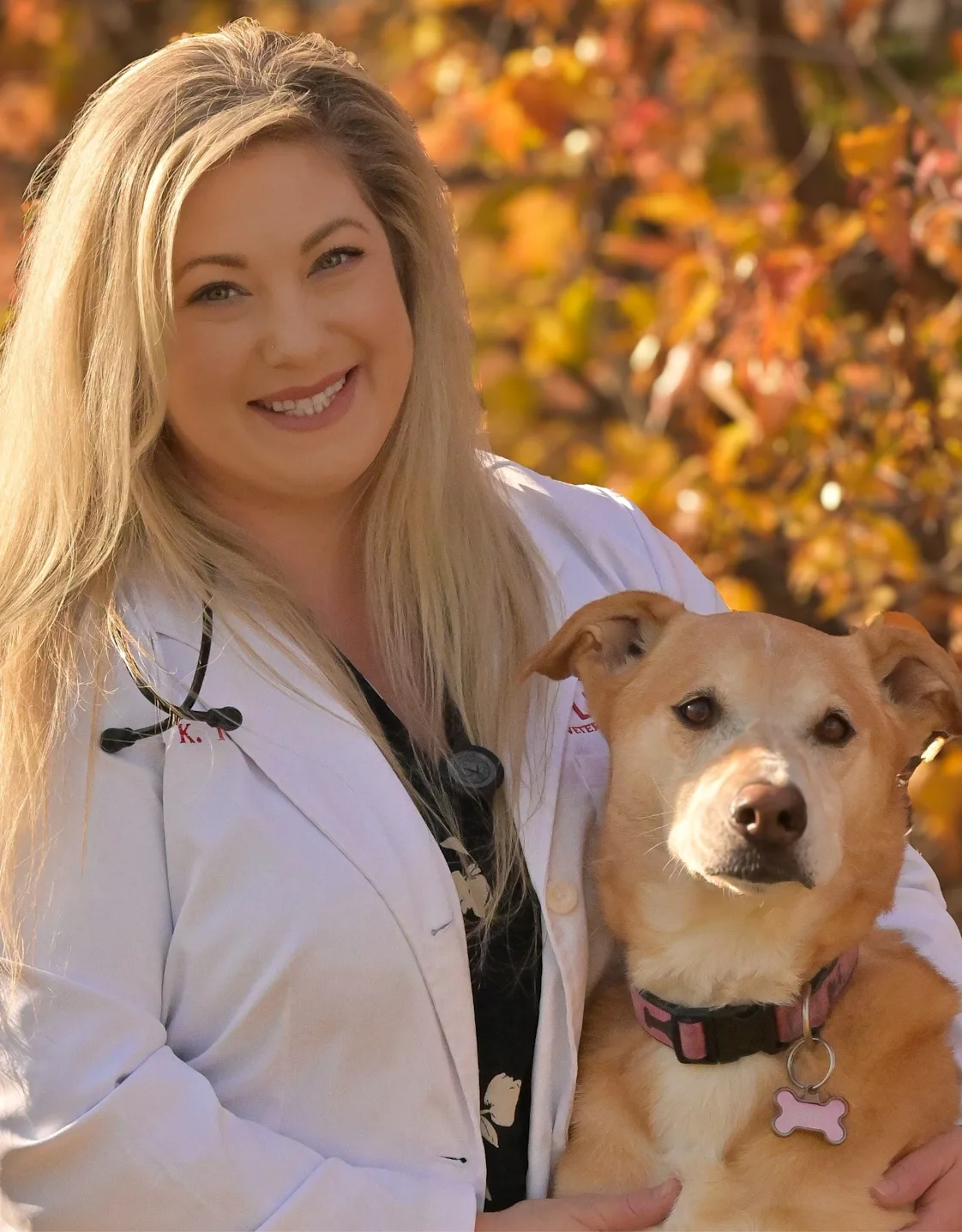 puppy pencil in place of Dr. Teerhuis puppy pencil in place of Dr. Teerhuis