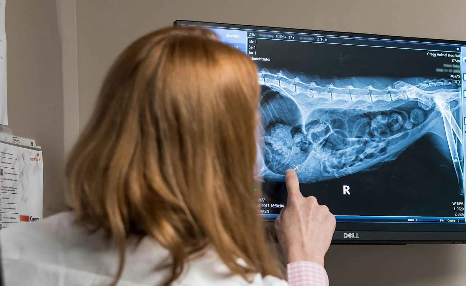 Looking at X-Rays Looking at X-Rays