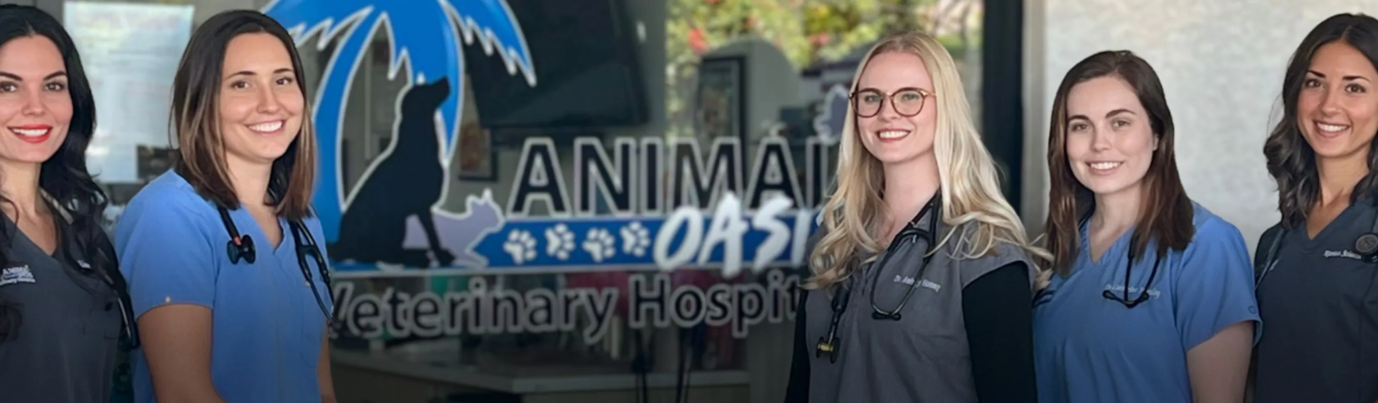 Animal Oasis Veterinary Hospital - 2025 DVM Staff Photo Animal Oasis Veterinary Hospital - 2025 DVM Staff Photo