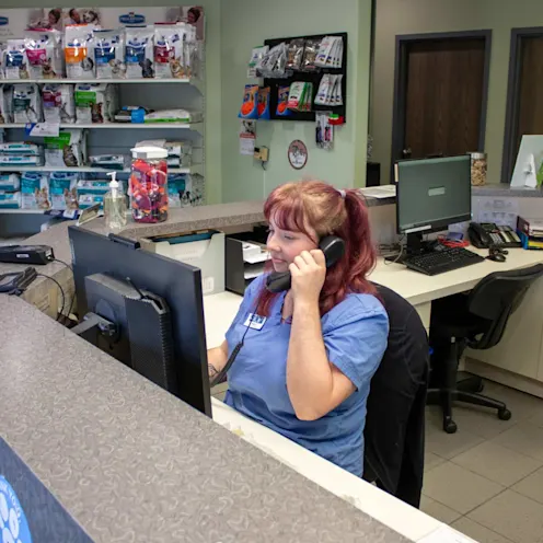 MF Reception MF Reception