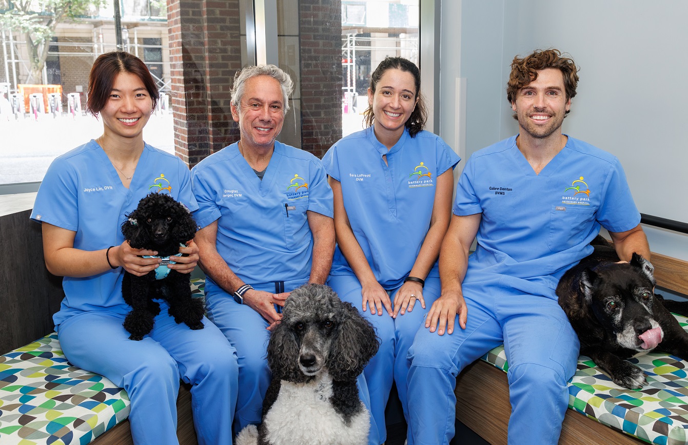 Battery Park Veterinarians
