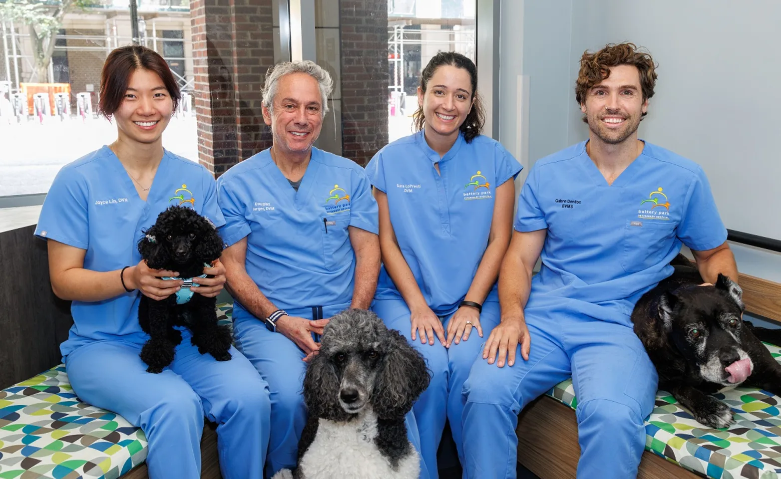 Battery Park Veterinarians Battery Park Veterinarians