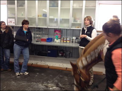 Veterinarian giving lecture behind horse's neck