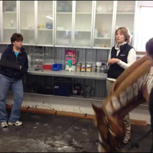Veterinarian giving lecture behind horse's neck Veterinarian giving lecture behind horse's neck