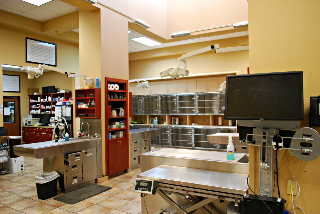 Emergency Animal Hospitals of Collin County treatment room