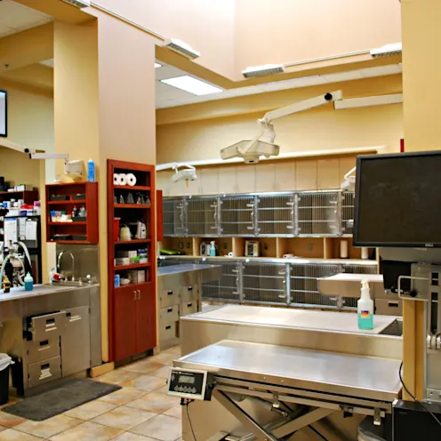 Emergency Animal Hospitals of Collin County treatment room Emergency Animal Hospitals of Collin County treatment room