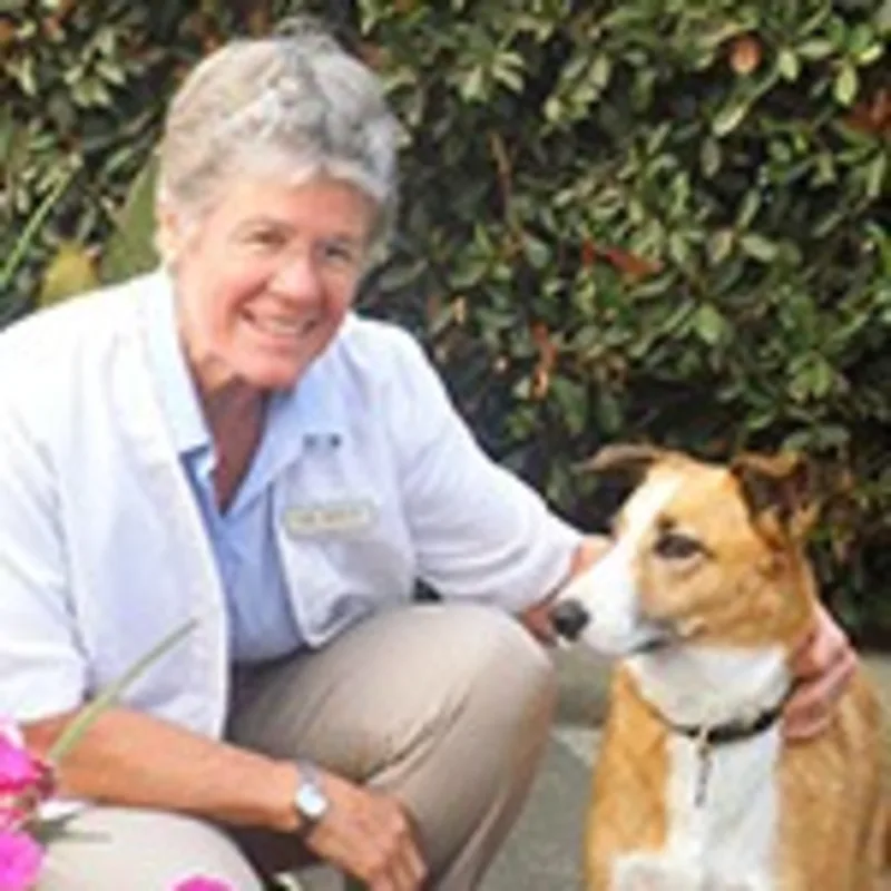 Dr. Judy Walt Dr. Judy Walt