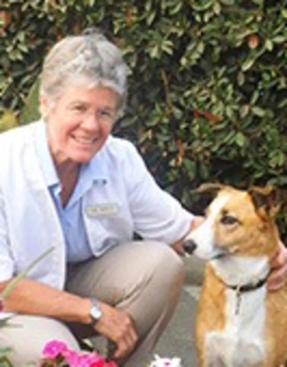 Dr. Judy Walt Dr. Judy Walt
