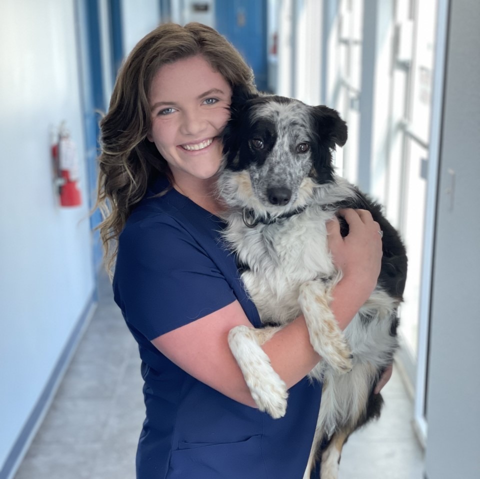 Taylor Atlantic Animal Hospital