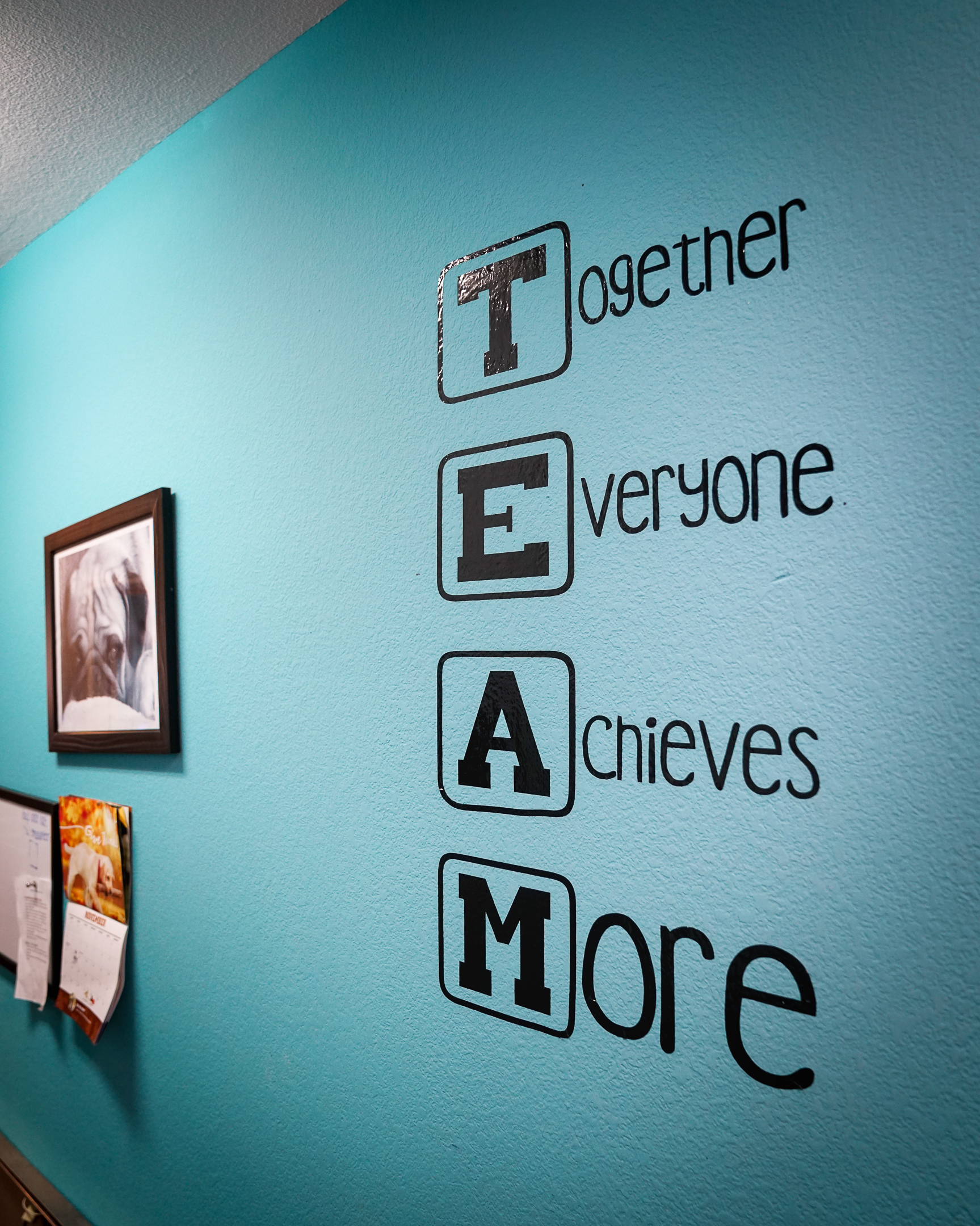 a wall that says "TEAM" in the Great Oaks Animal Hospital lobby