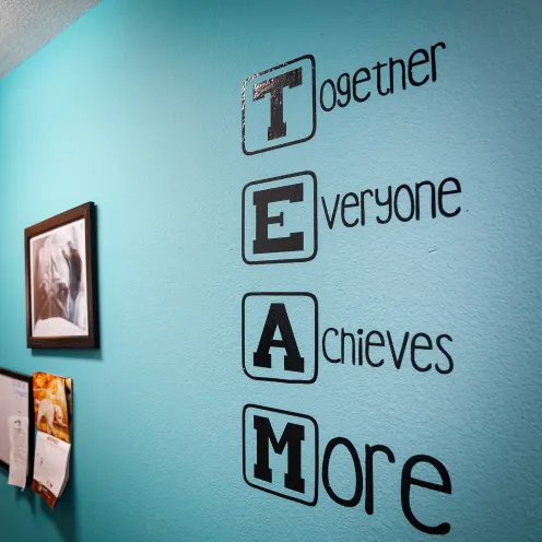 a wall that says "TEAM" in the Great Oaks Animal Hospital lobby