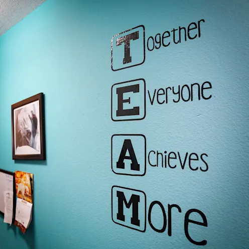 a wall that says "TEAM" in the Great Oaks Animal Hospital lobby a wall that says "TEAM" in the Great Oaks Animal Hospital lobby