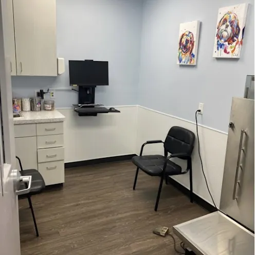 The exam room inside of our hospital The exam room inside of our hospital