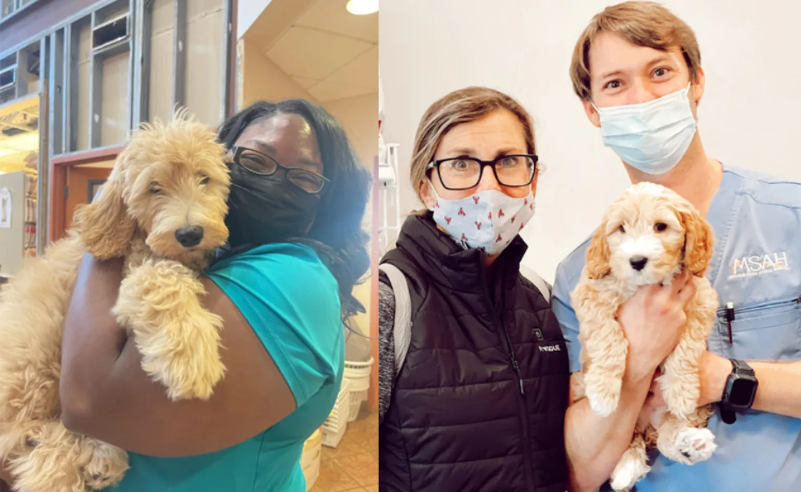 Metairie Small Animal Hospital (MSAH) Staff Holding Dogs Metairie Small Animal Hospital (MSAH) Staff Holding Dogs