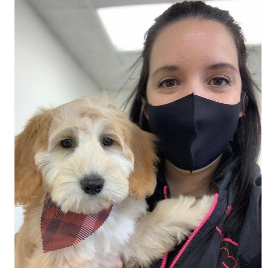 Staff with mask holding dog with plaid bandana