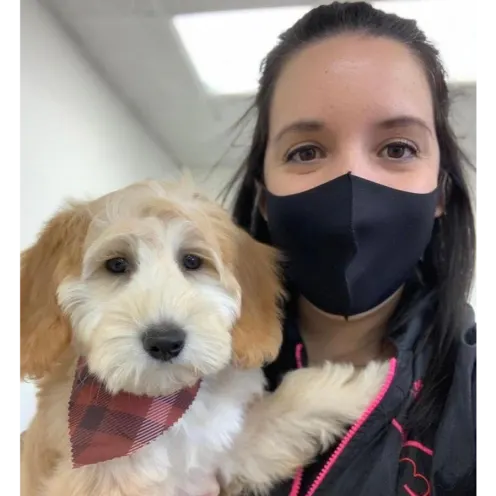 Staff with mask holding dog with plaid bandana