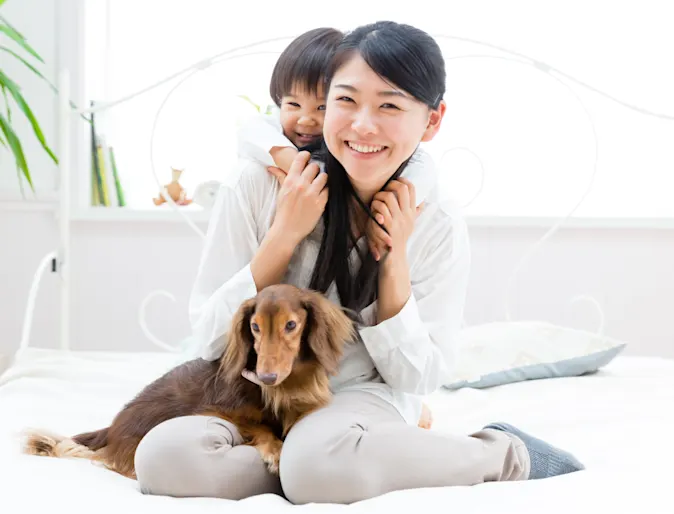 Dog with a family Dog with a family