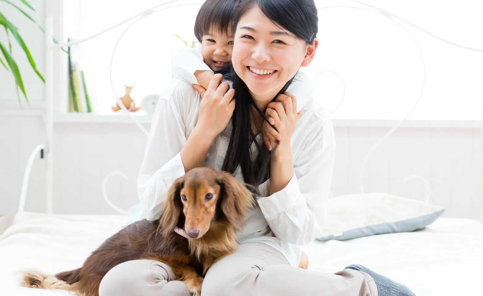 Dog with a family Dog with a family