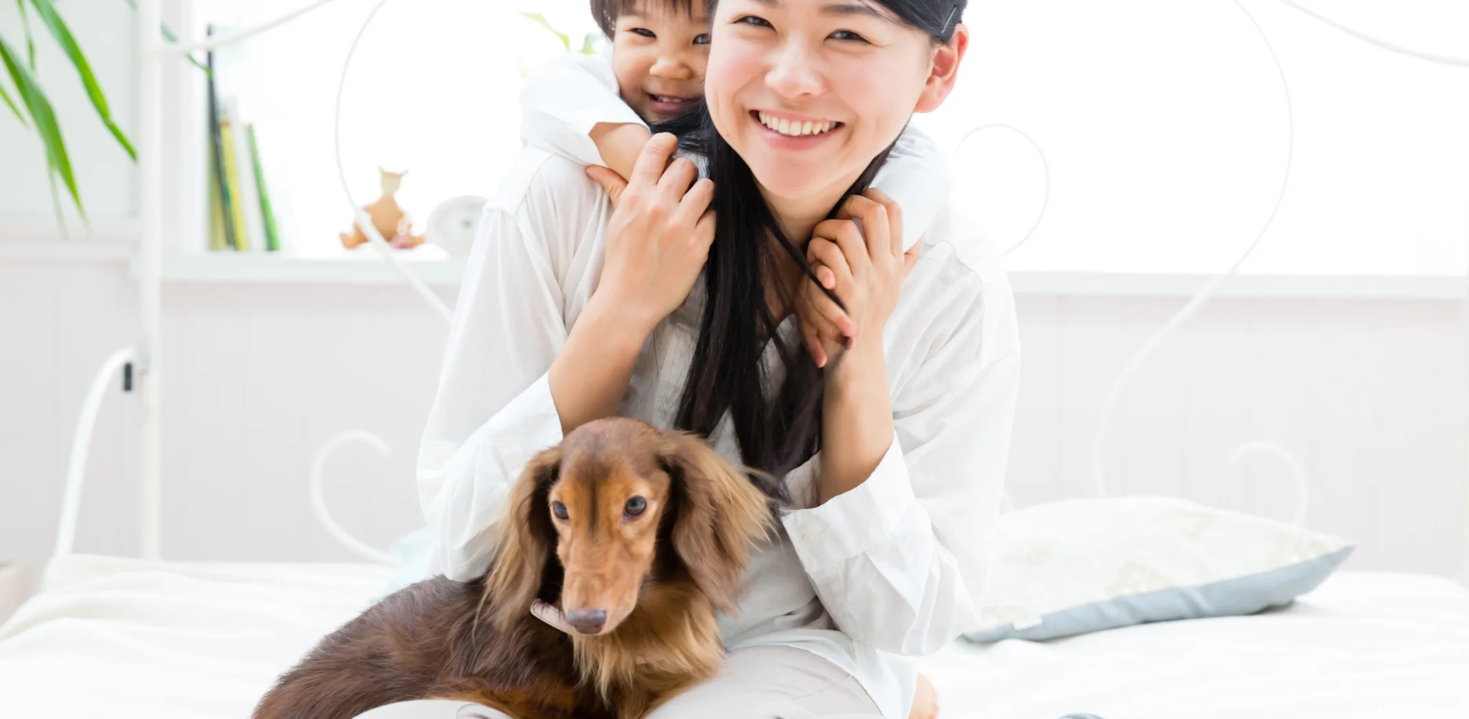 Dog with a family Dog with a family