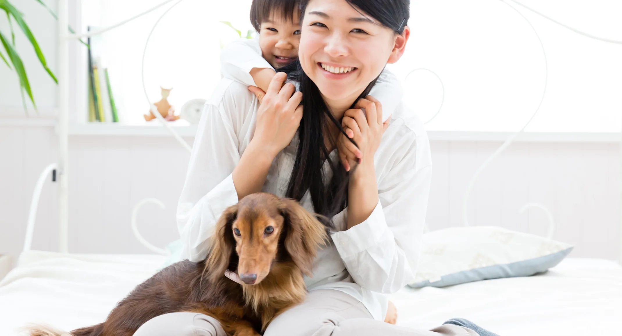 Dog with a family Dog with a family