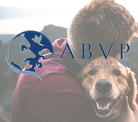 ABVP ABVP