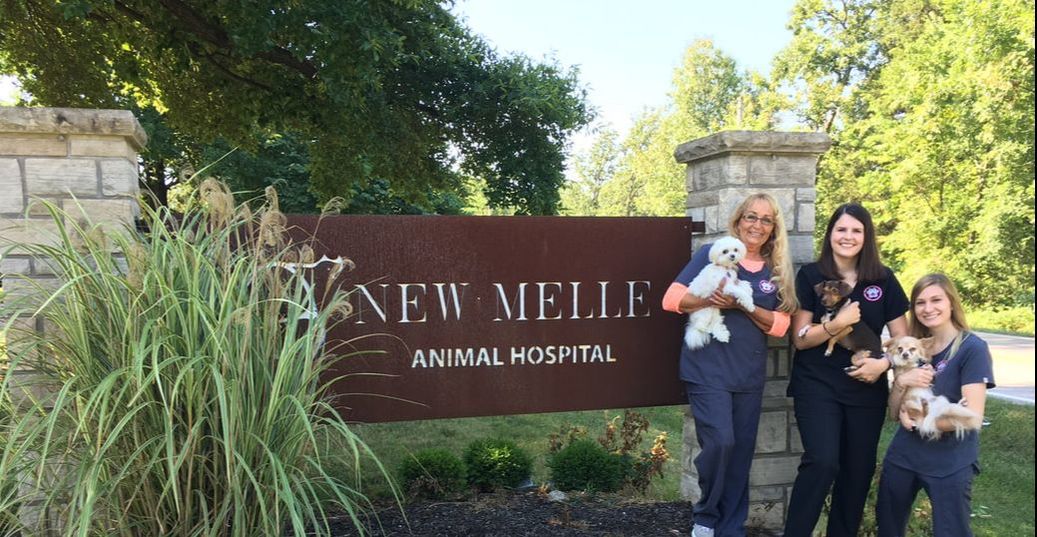 Staff in front of hospital