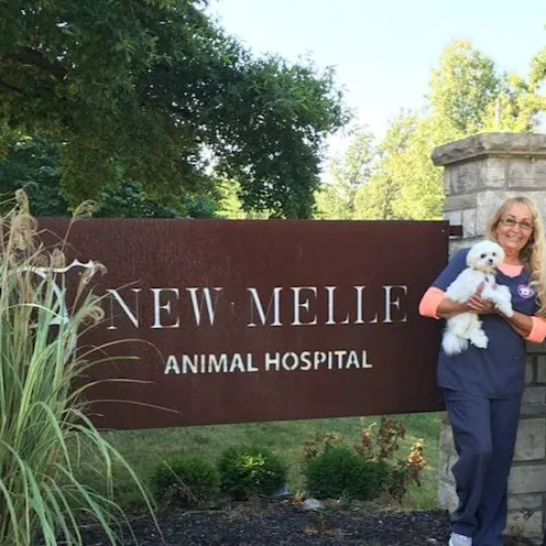 Staff in front of hospital Staff in front of hospital