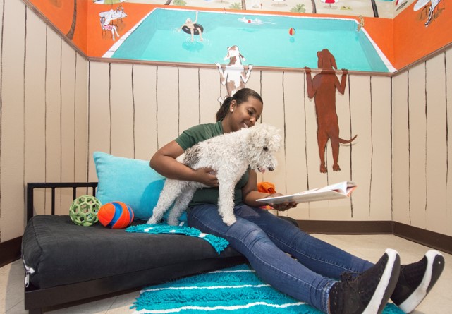 Staff member reading a dog a book