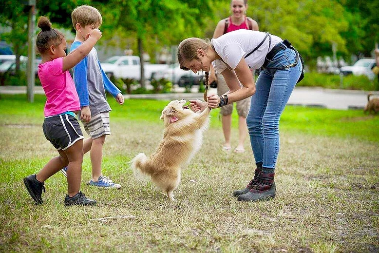 Lauderdale Pet Lodge trainer, Hannah, playing with a dog 