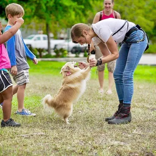 Lauderdale Pet Lodge trainer, Hannah, playing with a dog Lauderdale Pet Lodge trainer, Hannah, playing with a dog