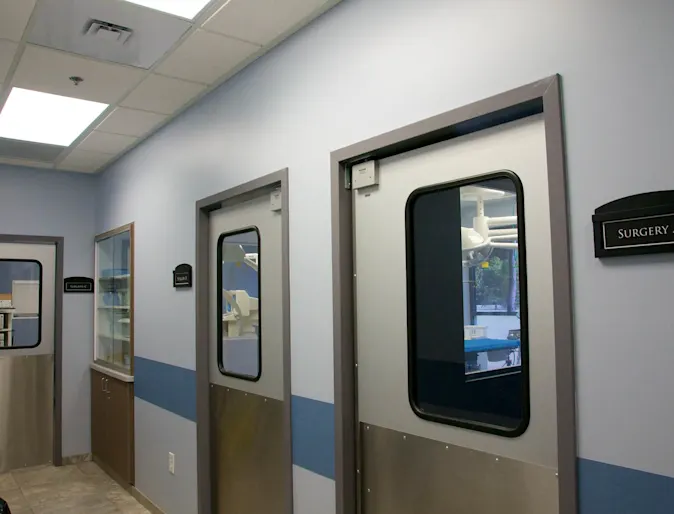 Surgery doors Surgery doors