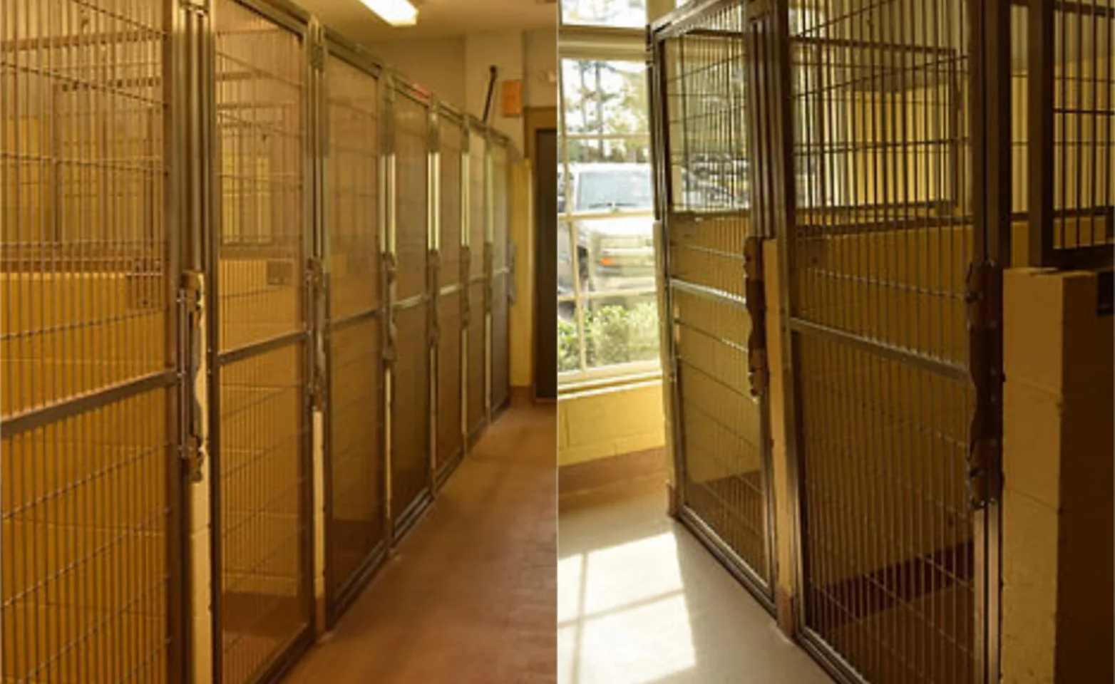 Two Pictures of Regular Suite Boarding Two Pictures of Regular Suite Boarding