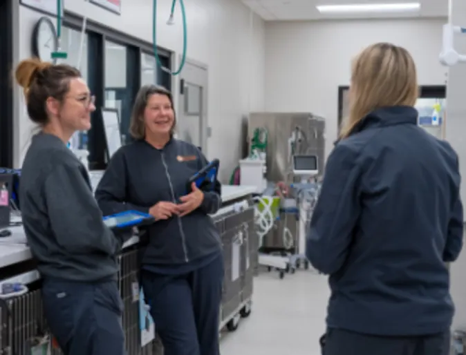 Staff Members Working Together at South Asheville Veterinary Emergency & Specialty Staff Members Working Together at South Asheville Veterinary Emergency & Specialty
