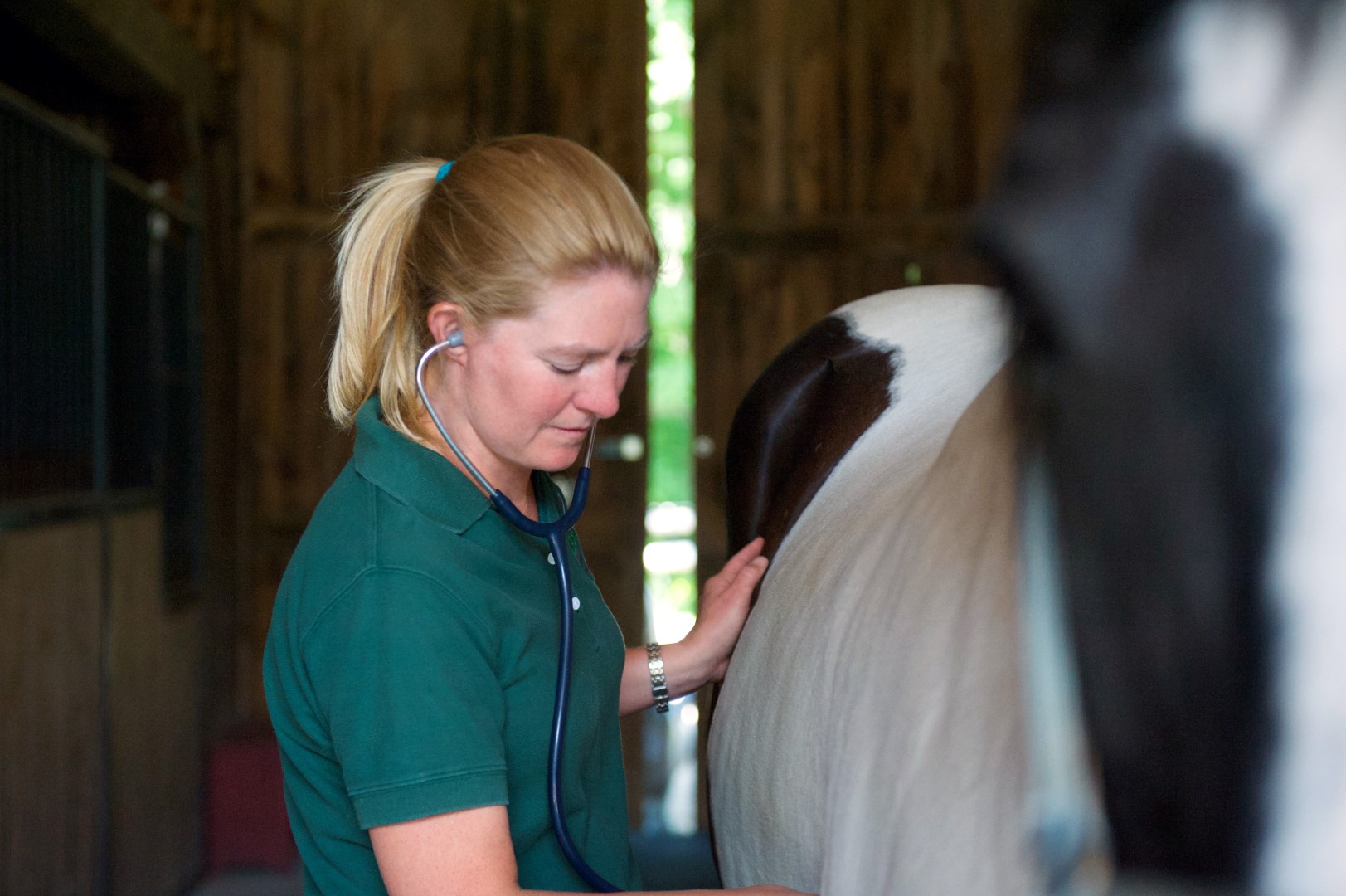 Henniker Veterinary Hospital staff member with horse
