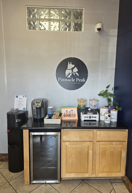 The lobby at Pinnacle Peak Animal hospital with coffee and water bar displayed