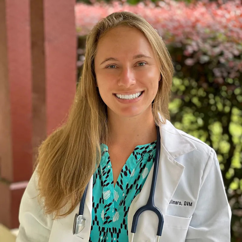 Dr. Nicole Gallinaro Dr. Nicole Gallinaro