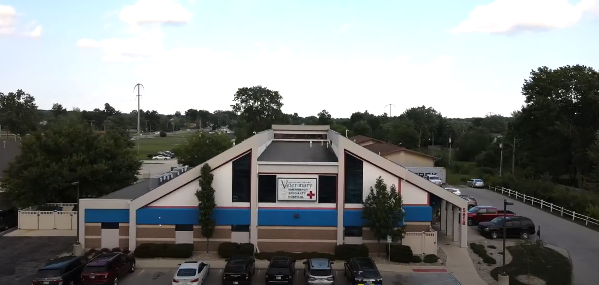 About Us Northeast Indiana Veterinary Emergency & Specialty Hospital