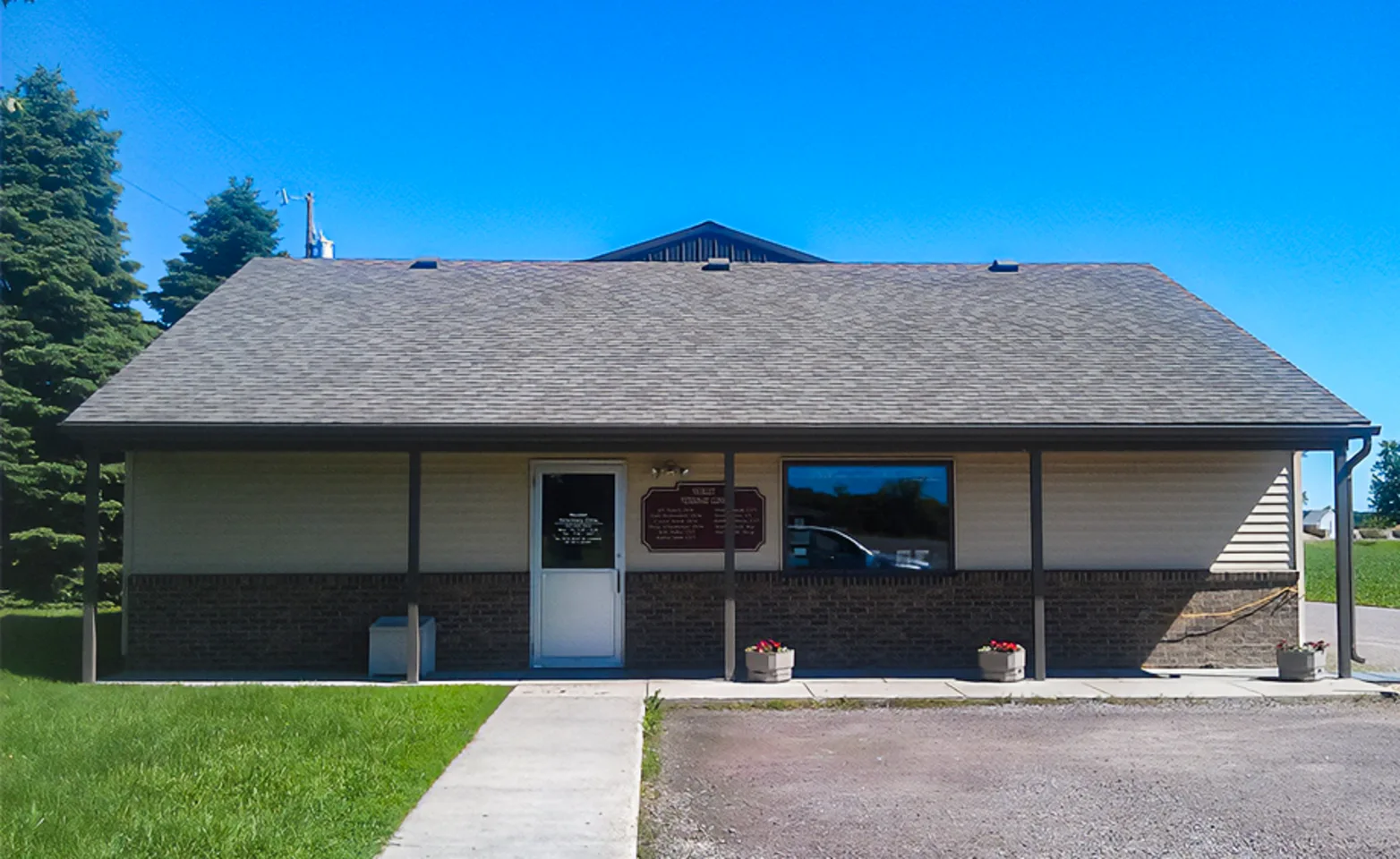 Three Staff Members Holding Cats & Dogs at Nicollet Veterinary Clinic