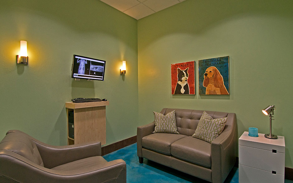 Animal Oasis Veterinary Hospital Grieving Room