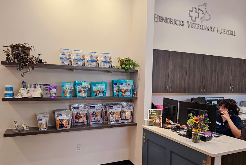 Front Desk Receptionist