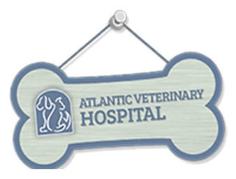 Bone Shaped Atlantic Veterinary Hospital Wooden Sign
