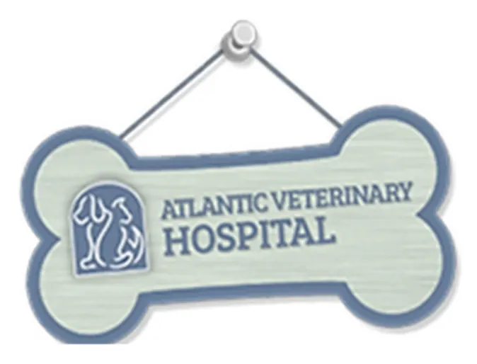 Bone Shaped Atlantic Veterinary Hospital Wooden Sign