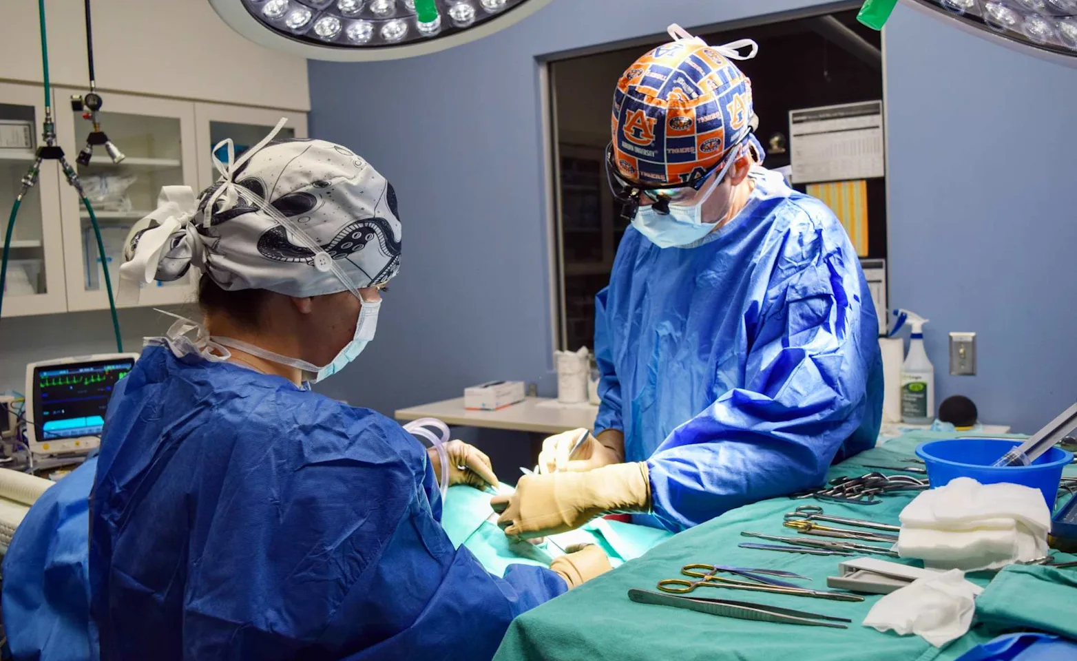 Vets performing surgery on a patient. Vets performing surgery on a patient.