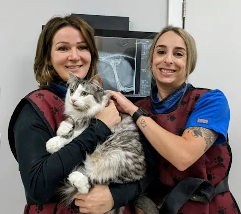 Staff members holding cat in front of x-ray Staff members holding cat in front of x-ray