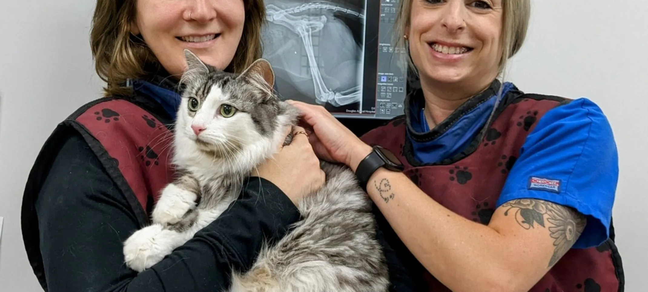 Staff members holding cat in front of x-ray Staff members holding cat in front of x-ray