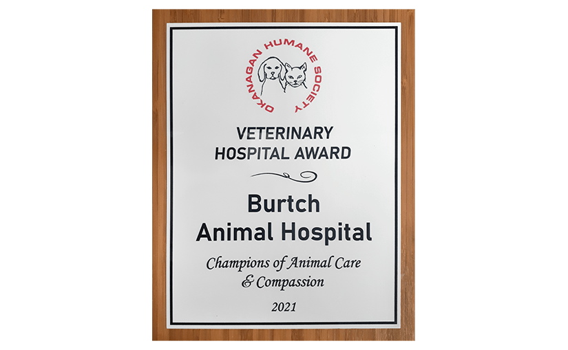 An award from the Okanagan Humane Society with the OHS logo and the text, "Veterinary Hospital Award / Burtch Animal Hospital / Champions of Animal Care and Compassion / 2021"