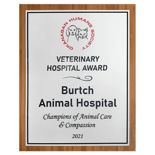 An award from the Okanagan Humane Society with the OHS logo and the text, "Veterinary Hospital Award / Burtch Animal Hospital / Champions of Animal Care and Compassion / 2021"